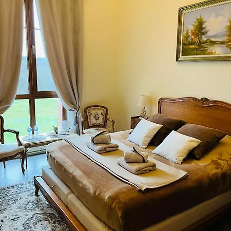 Chateau De Crenille Bed & Breakfast Chaumes-en-Brie