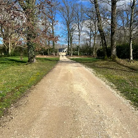 Bed & Breakfast Chateau De Crenille Chaumes-en-Brie